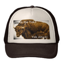 yak hat