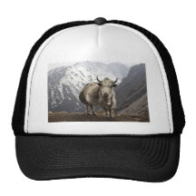 Yak in Nepal Trucker Hat