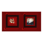 Year of the tiger 2010 photo greeting card