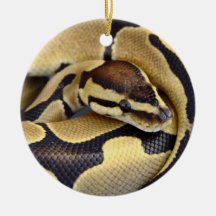 Yellow and Black Ball Python 3 Ornaments