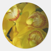 Yellow and Red Flowers Longwood Gardens, PA Sticker