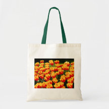 Yellow and red tulips in springtime bag