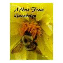 Yellow Bee Dahlia Post Cards