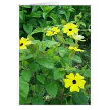 Yellow Bloom Card