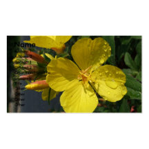 Yellow Buttercups Business Card Template