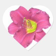 Yellow Centred Pink Flower Sticker