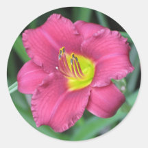 Yellow Centred Pink Flower w Green Sticker