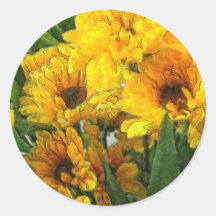 Yellow Chrysanthemums 4 Stickers