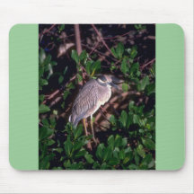 Yellow-crowned Night Heron Mousepad