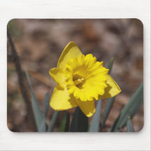 Yellow Daffodil Mousepads