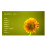 Yellow Daisy Gerbera Flower Business Card Templates