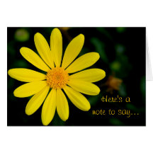 Yellow Daisy Note Card