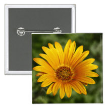 Yellow Daisy Pinback Button