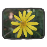 Yellow Daisy with green bug Planner