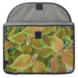 Yellow edged coleus plant MacBook pro sleeve