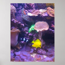 yellow fish print