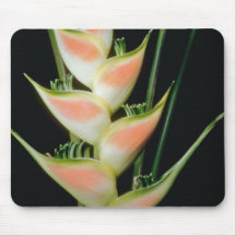Yellow Fishtail heliconia (Heleconia elongata) flo Mouse Pads