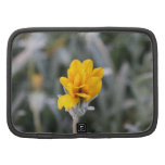 Yellow Flower, almost closed Planners