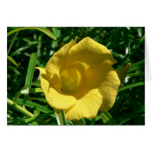 Yellow Flower And Sharp Leaves Card