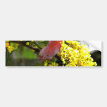 Yellow Flower Bumper Sticker