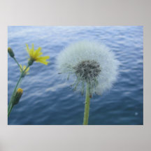 Yellow Flower Globe Poster