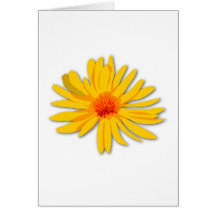 Yellow Flower Greeting Card