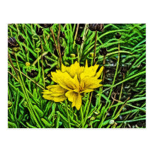 Yellow Flower Painting Post Card