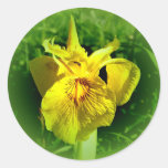 Yellow Flower Stickers