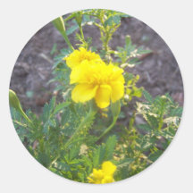 yellow flower stickers