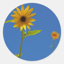 Yellow Flower Stickers
