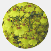 Yellow Flowers at Longwood Gardens, PA Stickers