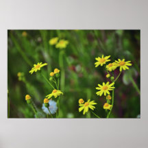 Yellow flowers print