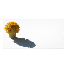 Yellow Flowers White Bucket and Shadow Custom Photo Card