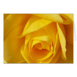 Yellow Folds Greeting Card