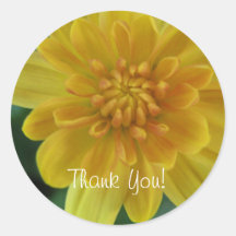 Yellow garden Mum Sticker