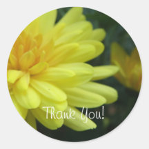 Yellow garden Mum Sticker