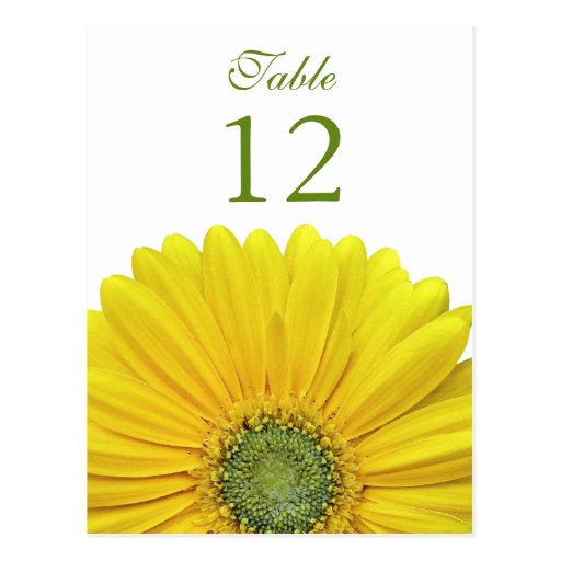 Yellow Gerbera Daisy Table Number Card Postcards