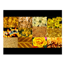 Yellow / Gold Photos Collage Post Cards