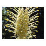 Yellow Grevillia Personalized Invitations