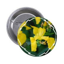 Yellow Iris  Button