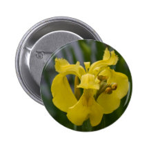 Yellow Iris Button