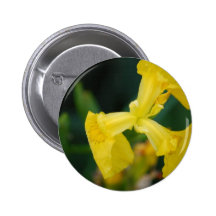 Yellow Iris Flowers Button