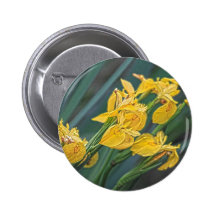 Yellow Iris Pins