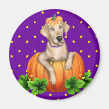 Yellow Lab Halloween Labr-O-Lantern Refrigerator Magnets