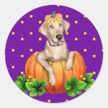 Yellow Lab Halloween Labr-O-Lantern Round Sticker