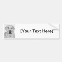 Yellow Lab.jpg Bumper Sticker