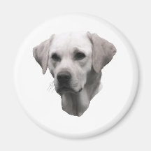 Yellow Labrador Retriever Fridge Magnets