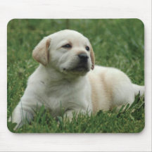 Yellow Labrador Retriever puppies Mousepads