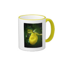 Yellow Lady Slipper Mugs