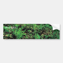 Yellow lady's slipper bumper sticker